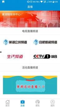 巢湖新闻爆料网站大全,一网打尽本地资讯平台 第2张 巢湖新闻爆料网站大全,一网打尽本地资讯平台 第2张